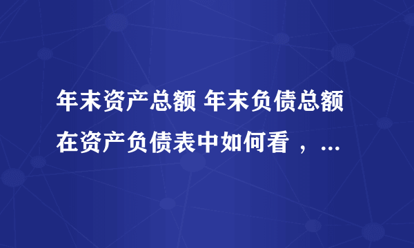 年末资产总额 年末负债总额在资产负债表中如何看 ，看那一项 全年的利润总额、与纳税总额在哪里可以看出来