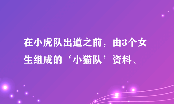 在小虎队出道之前，由3个女生组成的‘小猫队’资料、