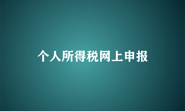 个人所得税网上申报