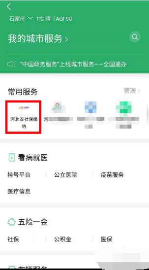 河北省农村合作医疗网上缴费怎么办理