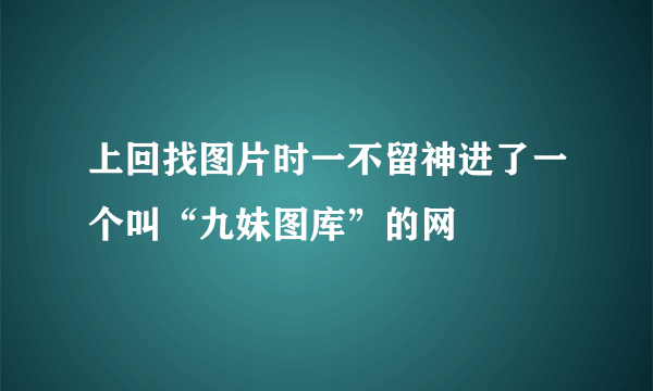 上回找图片时一不留神进了一个叫“九妹图库”的网