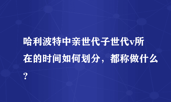 哈利波特中亲世代子世代v所在的时间如何划分，都称做什么？