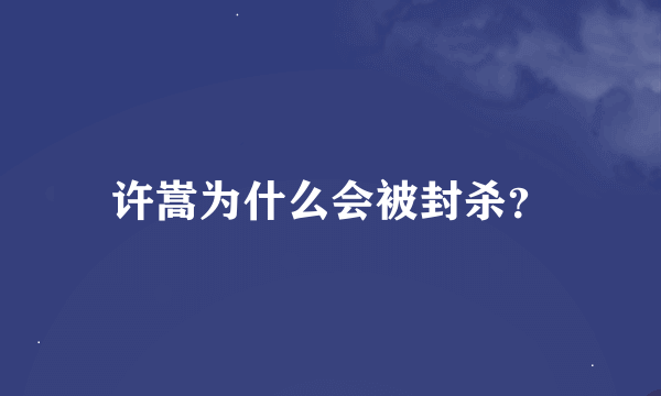 许嵩为什么会被封杀？