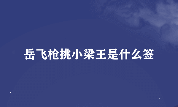 岳飞枪挑小梁王是什么签