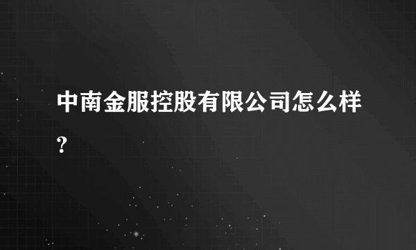 中南金服控股有限公司怎么样？