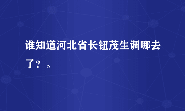 谁知道河北省长钮茂生调哪去了？。