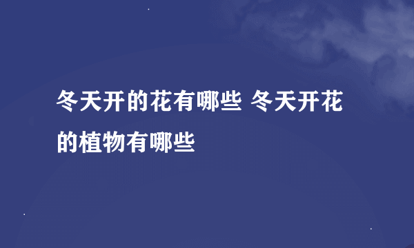 冬天开的花有哪些 冬天开花的植物有哪些