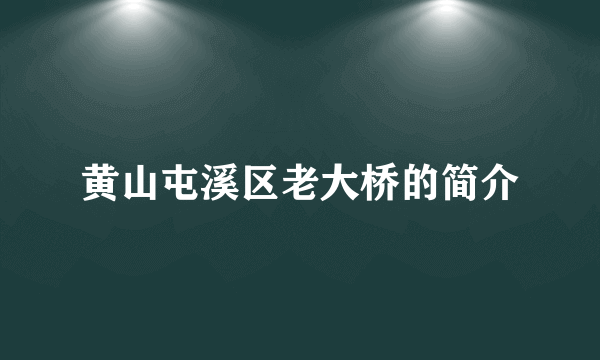 黄山屯溪区老大桥的简介