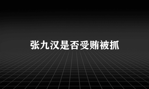 张九汉是否受贿被抓