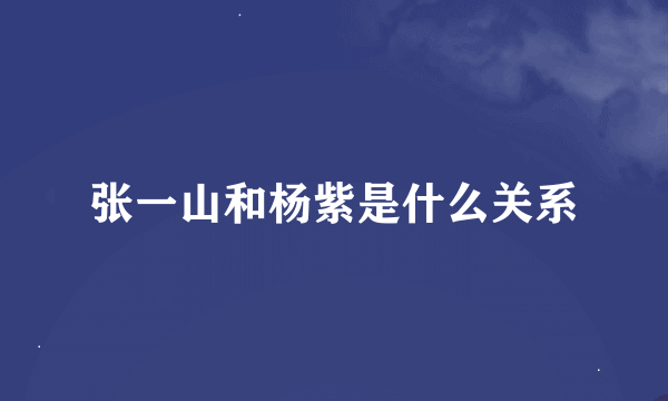 张一山和杨紫是什么关系