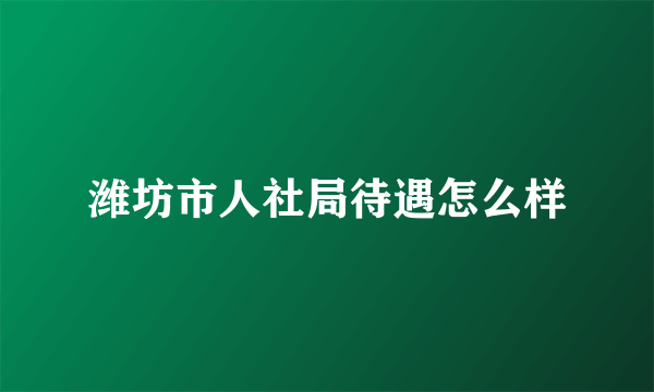 潍坊市人社局待遇怎么样