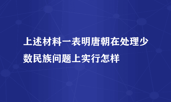 上述材料一表明唐朝在处理少数民族问题上实行怎样