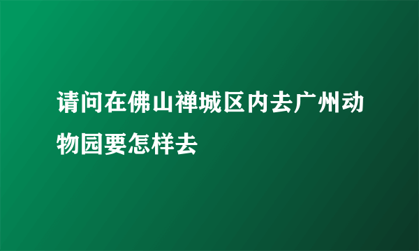 请问在佛山禅城区内去广州动物园要怎样去