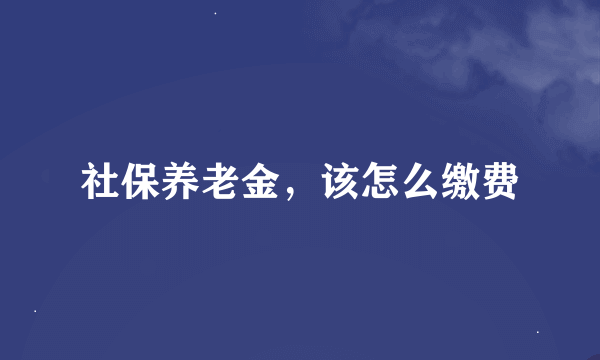 社保养老金，该怎么缴费