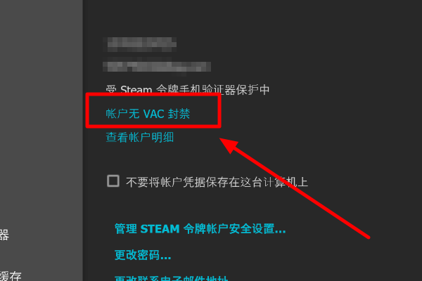 steam怎么查看VAC监控。设置里没看到啊