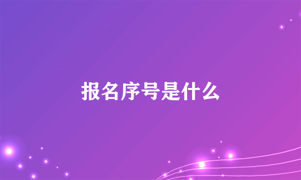 报名序号是什么