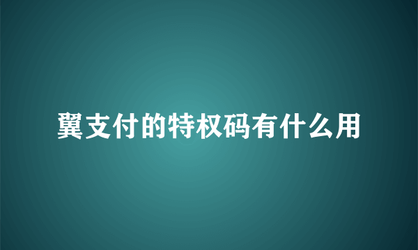 翼支付的特权码有什么用