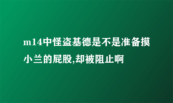 m14中怪盗基德是不是准备摸小兰的屁股,却被阻止啊