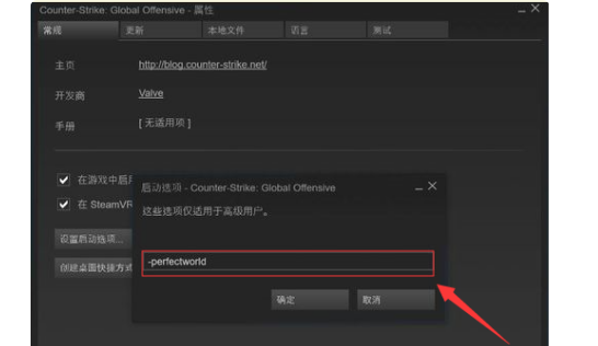 《csgo》国际服启动项是什么？