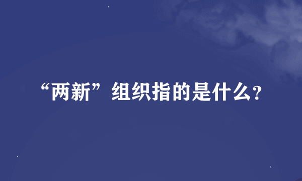 “两新”组织指的是什么？