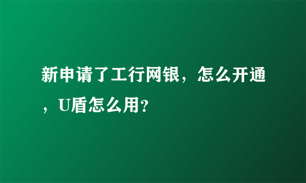 新申请了工行网银，怎么开通，U盾怎么用？