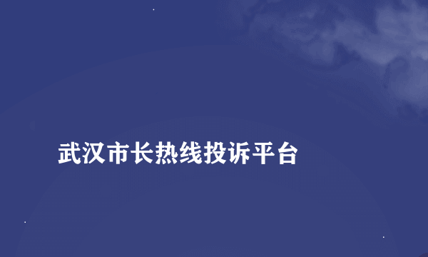 
武汉市长热线投诉平台

