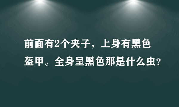 前面有2个夹子，上身有黑色盔甲。全身呈黑色那是什么虫？