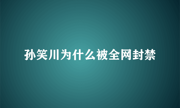 孙笑川为什么被全网封禁