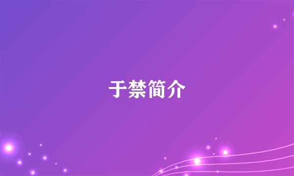 于禁简介