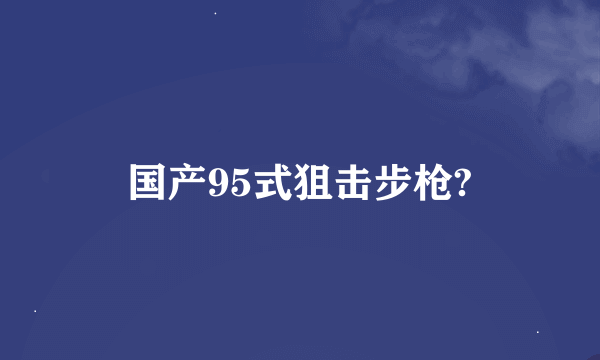 国产95式狙击步枪?