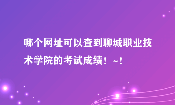 哪个网址可以查到聊城职业技术学院的考试成绩！~！