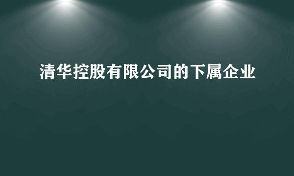 清华控股有限公司的下属企业