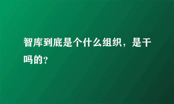 智库到底是个什么组织，是干吗的？