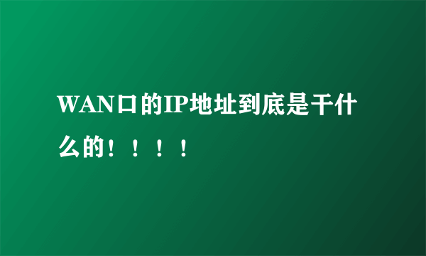 WAN口的IP地址到底是干什么的！！！！