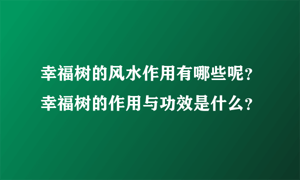 幸福树的风水作用有哪些呢？幸福树的作用与功效是什么？