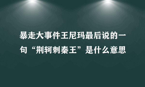 暴走大事件王尼玛最后说的一句“荆轲刺秦王”是什么意思