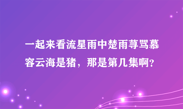 一起来看流星雨中楚雨荨骂慕容云海是猪，那是第几集啊？