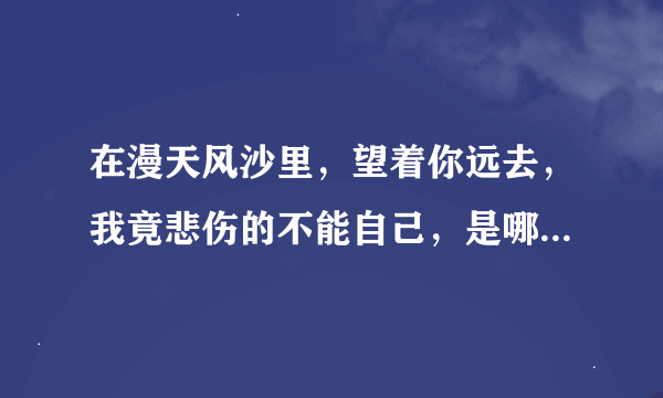 在漫天风沙里，望着你远去，我竟悲伤的不能自己，是哪首歌的歌词？