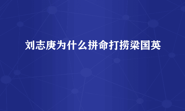 刘志庚为什么拼命打捞梁国英