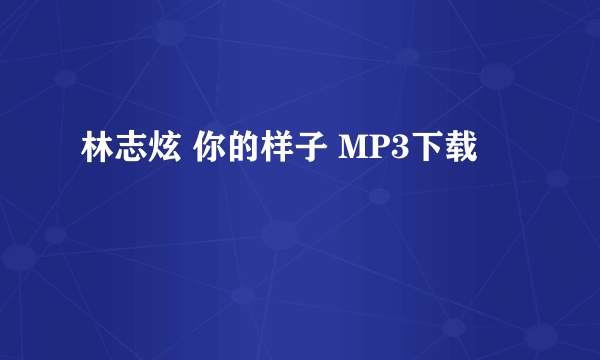 林志炫 你的样子 MP3下载