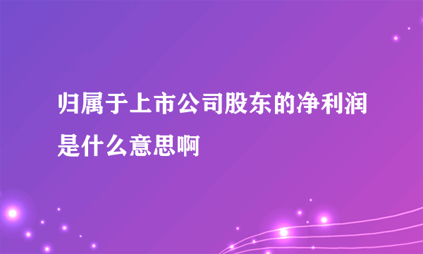 归属于上市公司股东的净利润是什么意思啊