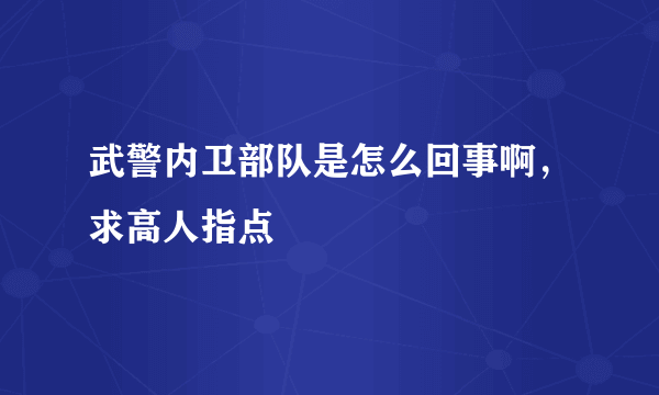 武警内卫部队是怎么回事啊，求高人指点