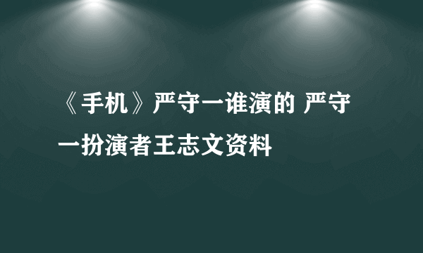 《手机》严守一谁演的 严守一扮演者王志文资料