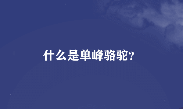 什么是单峰骆驼？