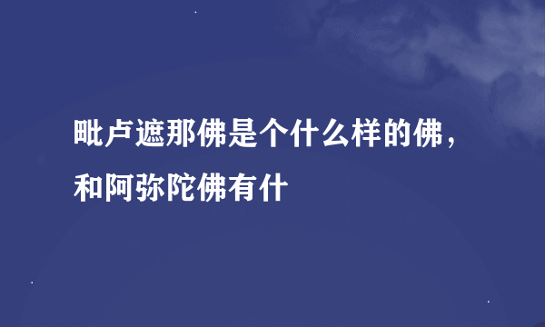 毗卢遮那佛是个什么样的佛，和阿弥陀佛有什