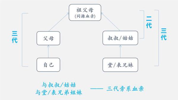 三代旁系血亲关系图