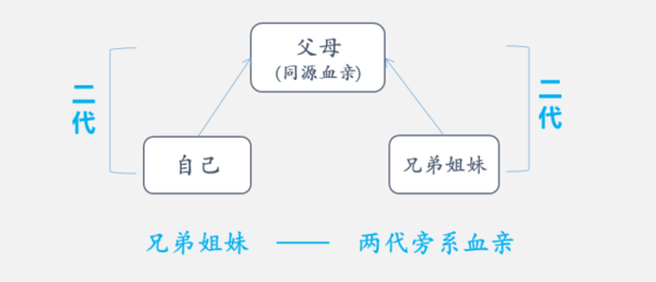 三代旁系血亲关系图