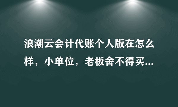 浪潮云会计代账个人版在怎么样，小单位，老板舍不得买专业版，让我用手工做。