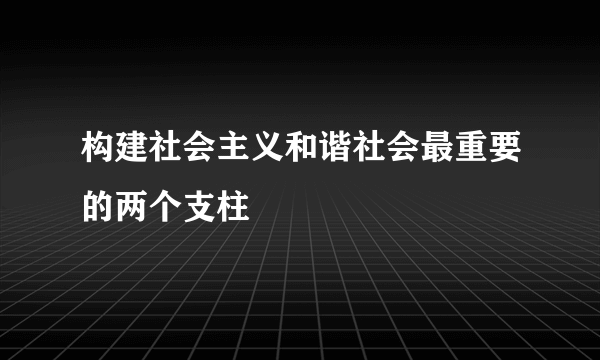 构建社会主义和谐社会最重要的两个支柱