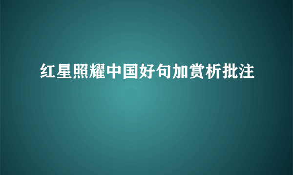 红星照耀中国好句加赏析批注